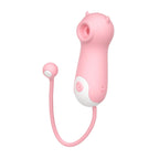 Amoura Clitoral & Nipple (two zones confirmed in source description and images), Vibrator (spec table confirms 'Sucking vibrator' type), Personal Massager (source uses 'vibrator' and 'massager' – suction vibrator
