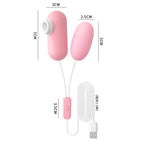 Amoura Clitoral Egg Vibrator, Personal Massager, 10-Frequency Vibrating, Women's, USB Rechargeable, Silicone – 10 frequency vibrator