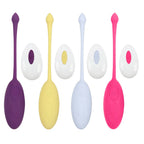 Amoura Clitoral Egg Vibrator, Personal Massager, Vibrating, Women's, Remote Control, Silicone, Waterproof – clitoral egg vibrator