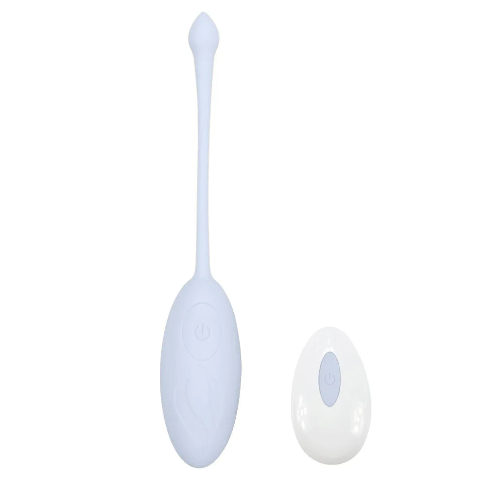 Amoura Clitoral Egg Vibrator, Personal Massager, Vibrating, Women's, Remote Control, Silicone, Waterproof – women's vibrator