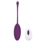 Amoura Clitoral Egg Vibrator, Personal Massager, Vibrating, Women's, Remote Control, Silicone, Waterproof – waterproof vibrator