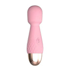 Amoura Clitoral & G-Spot (confirmed in product title 'G-Spot AV', description implies dual-zone, table shows it targets both), Personal Massager (explicit in source description), Vibrating (10 – clitoral vibrator