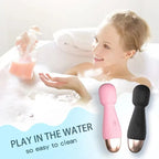 Amoura Clitoral & G-Spot (confirmed in product title 'G-Spot AV', description implies dual-zone, table shows it targets both), Personal Massager (explicit in source description), Vibrating (10 – women's intimate toys