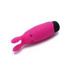 Amoura Rabbit Clitoral & G-Spot Vibrator, Women's, Medical-Grade Silicone, Waterproof – <item>clitoral vibrator</item>
<item>g spot vibrator</item>
<item>waterproof vibrator</item>
<item>dual motor vibrator</item>
<item>women's intimate wellness</item>