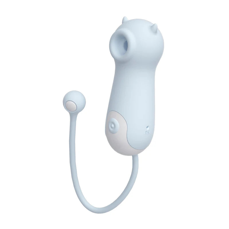 Amoura Clitoral & Nipple (two zones confirmed in source description and images), Vibrator (spec table confirms 'Sucking vibrator' type), Personal Massager (source uses 'vibrator' and 'massager' – nipple vibrator