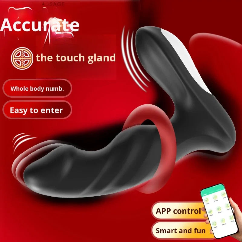 Amoura Anal & Prostate Vibrator, App-Controlled, Dual Motor, Medical-Grade Silicone – app controlled anal vibrator