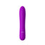 Amoura Clitoral & G-Spot (title mentions 'g spot' in source title; images and description confirm dual-zone targeting), Personal Massager (source spec lists 'Application: Massage'), Vibrating (spec: – G-spot vibrator