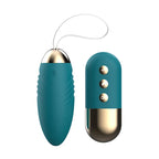 Amoura Clitoral & G-Spot Vibrator, Personal Massager, Vibrating, Women's, Remote Control, Silicone, Heating, Waterproof – clitoral vibrator