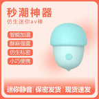 Amoura Clitoral Vibrator, Personal Massager, Vibrating & Heating, Women's, Silent, USB Rechargeable – heating vibrator