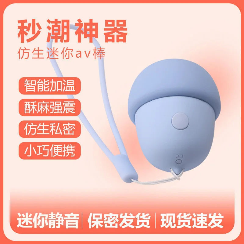 Amoura Clitoral Vibrator, Personal Massager, Vibrating & Heating, Women's, Silent, USB Rechargeable – personal massager