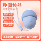 Amoura Clitoral Vibrator, Personal Massager, Vibrating & Heating, Women's, Silent, USB Rechargeable – personal massager