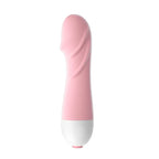 Amoura Clitoral & G-Spot Egg Vibrator, 10 Modes, Vibrating, Women's, Silicone, Waterproof – clitoral vibrator