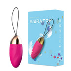 Amoura Clitoral & Anal Egg Vibrator, Personal Massager, Vibrating, Women's, Remote Control, Silicone, Waterproof – clitoral vibrator
