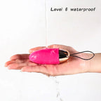 Amoura Clitoral & Anal Egg Vibrator, Personal Massager, Vibrating, Women's, Remote Control, Silicone, Waterproof – waterproof vibrator