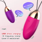 Amoura Clitoral & Anal Egg Vibrator, Personal Massager, Vibrating, Women's, Remote Control, Silicone, Waterproof – remote control vibrator