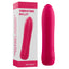 Amoura Clitoral Bullet Vibrator, 10-Mode, Personal Massager, Women's, Waterproof – 10-mode vibrator