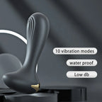 Amoura Prostate & Anal (from spec table, type listing, title, and product description), Not explicitly in old title; 'Personal Massager' / 'Massager' appropriate for B2B, omitted from title due to – anal vibrator