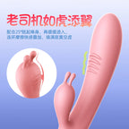 Amoura Rabbit Vibrator, Dual Stimulation, 10 Modes, Women's, Waterproof – dual stimulation vibrator