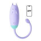 Amoura Clitoral & G-Spot Panty Vibrator, App-Controlled, Vibrating, Couples, Silicone, Waterproof – couples vibrator