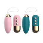 Amoura Vaginal Egg Vibrator, Personal Massager, 10-Speed Vibrating, Women's, Remote Control, Waterproof – remote control vibrator