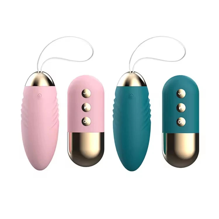 Amoura Vaginal Egg Vibrator, Personal Massager, 10-Speed Vibrating, Women's, Remote Control, Waterproof – remote control vibrator