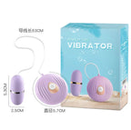 Amoura Clitoral Vibrator, Personal Massager, Vibrating, Women's, Heating, Waterproof – clitoral vibrator with heating
